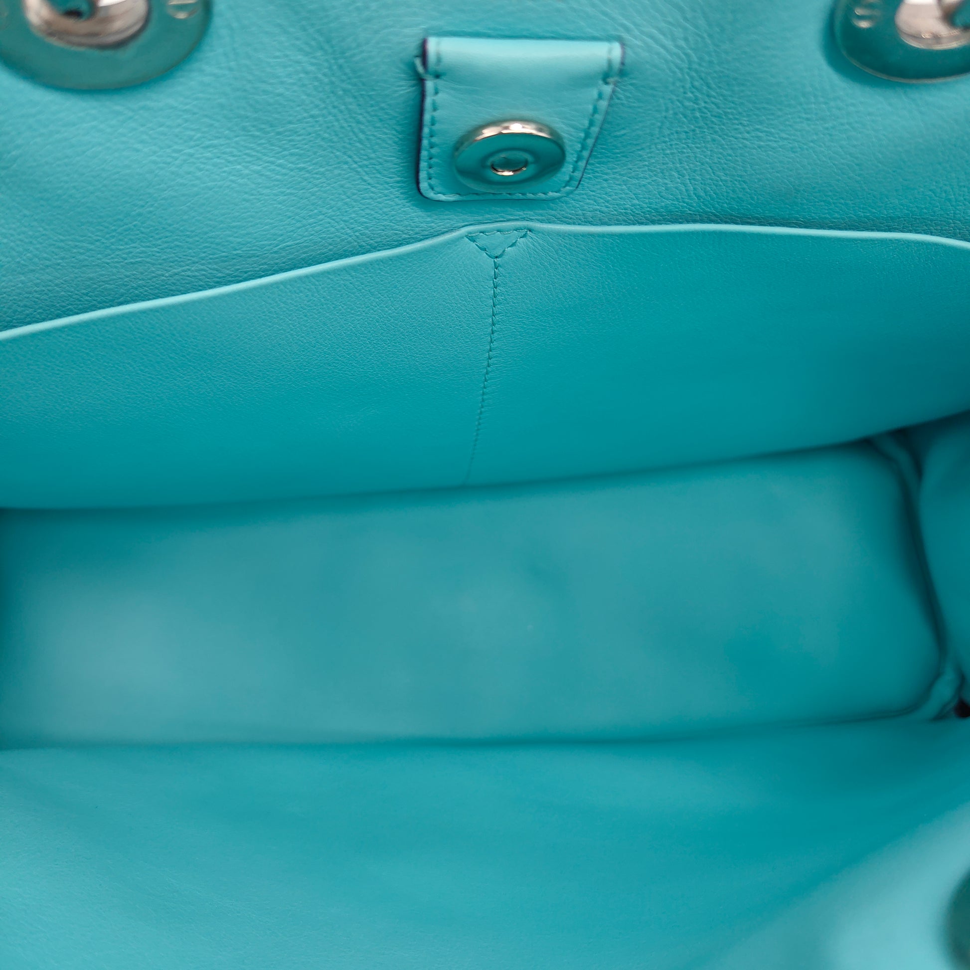 Leather Diorissimo Large