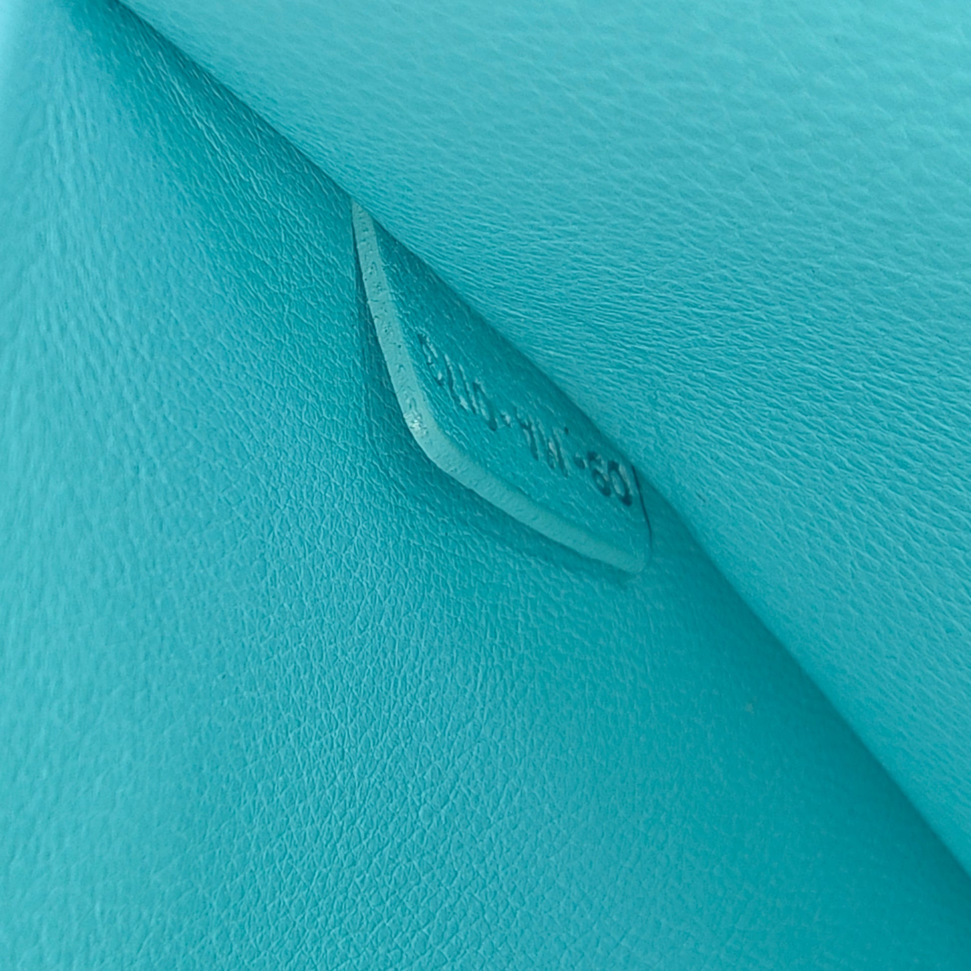 Leather Diorissimo Large