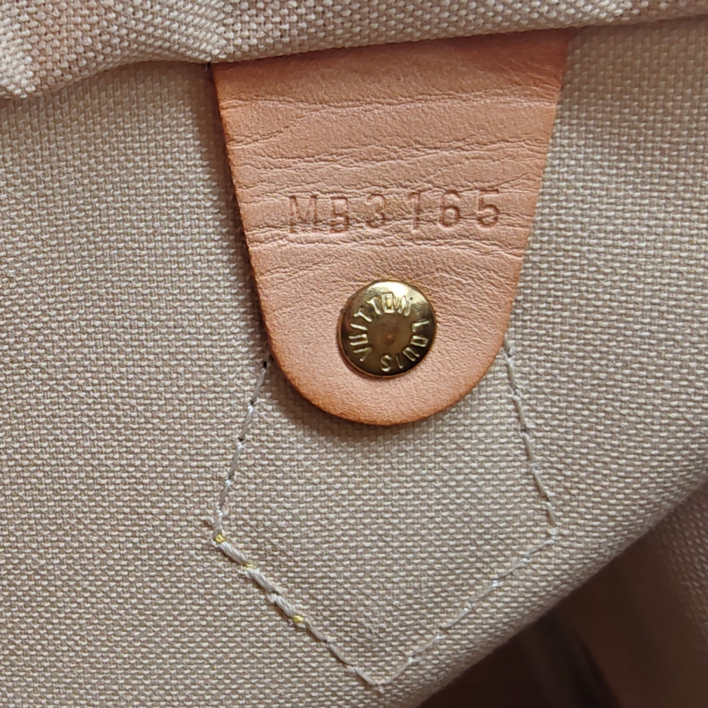 Speedy Bandouliere Bag Damier 25