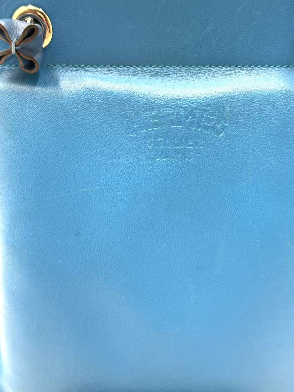 Aline Bag Milo Lambskin and Swift Mini
