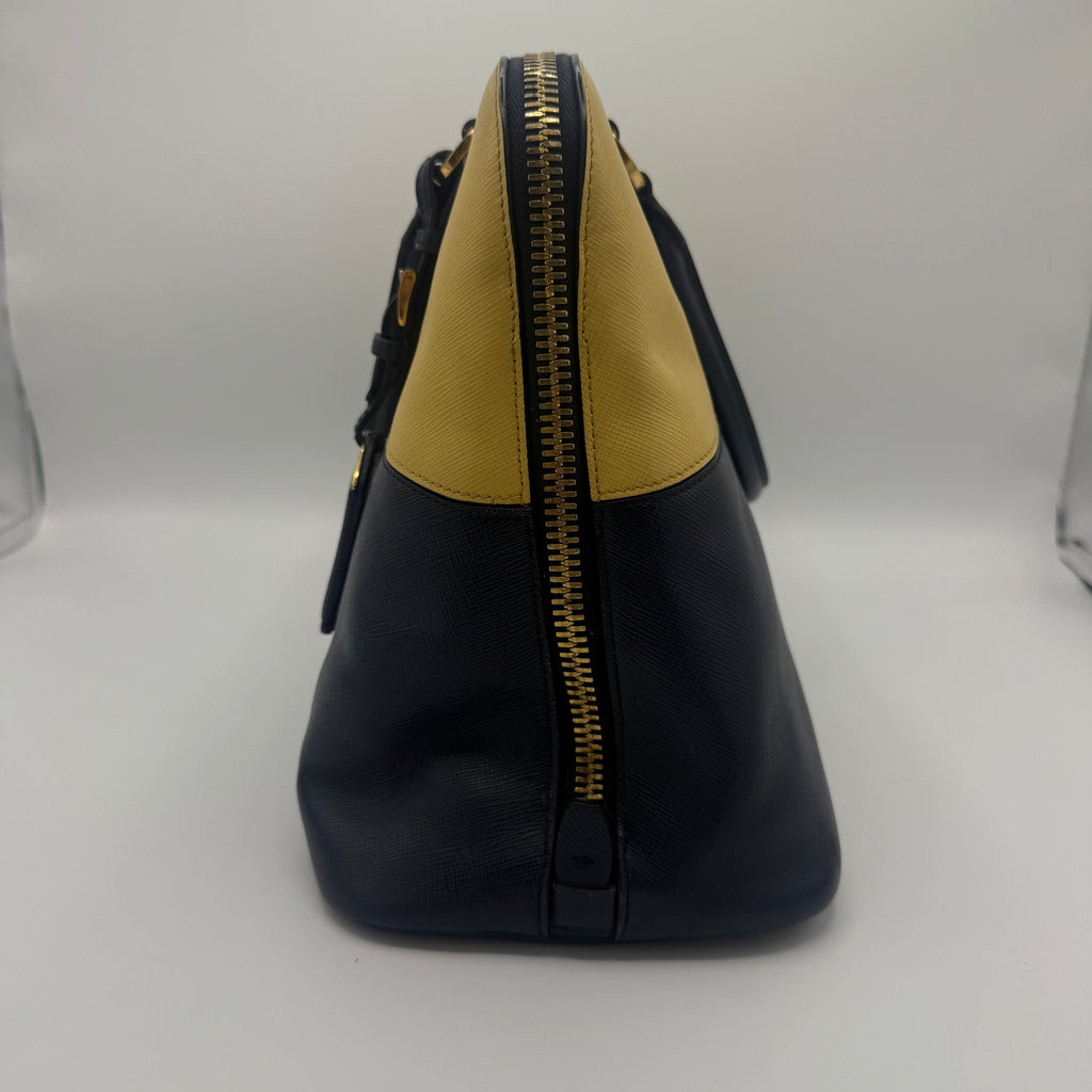 Bicolor Medium Saffiano Lux Promenade Handle Bag