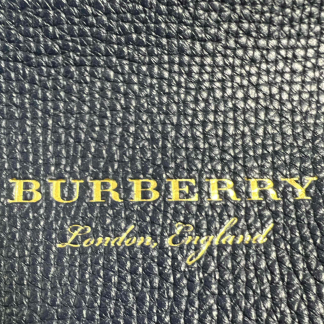 Burberry House Check Banner B24372