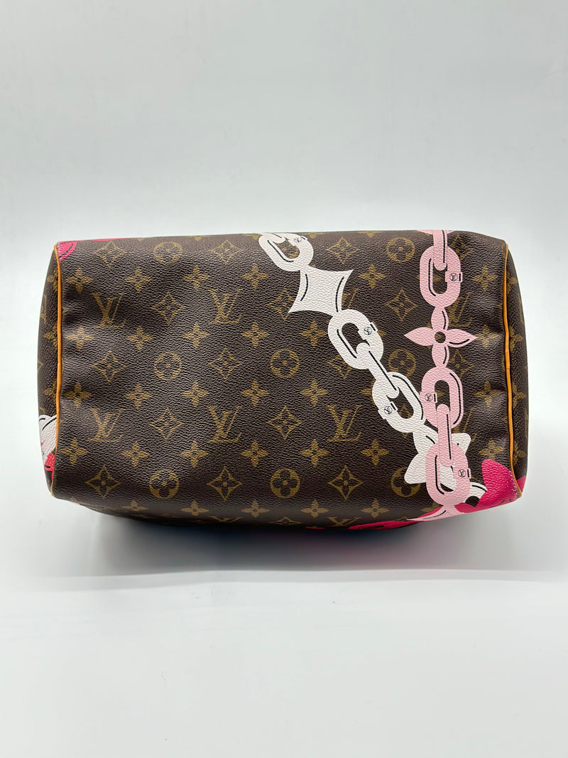 Louis Vuitton Speedy Handbag Limited Edition Bay Monogram Canvas 30