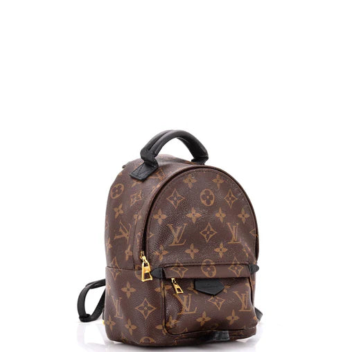 Monogram Palm Springs Backpack Mini twins