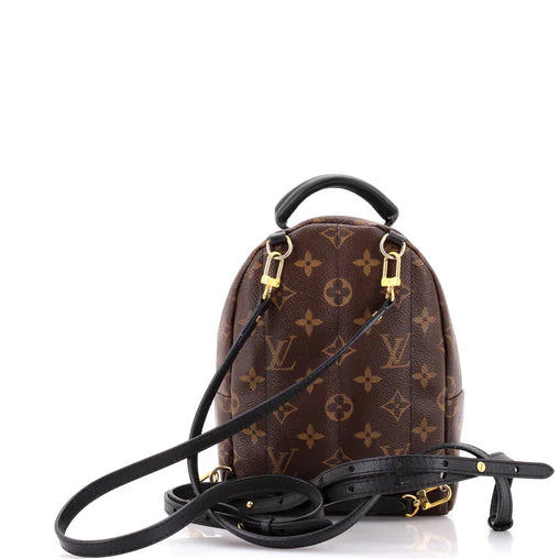 Monogram Palm Springs Backpack Mini twins