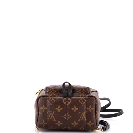 Monogram Palm Springs Backpack Mini twins