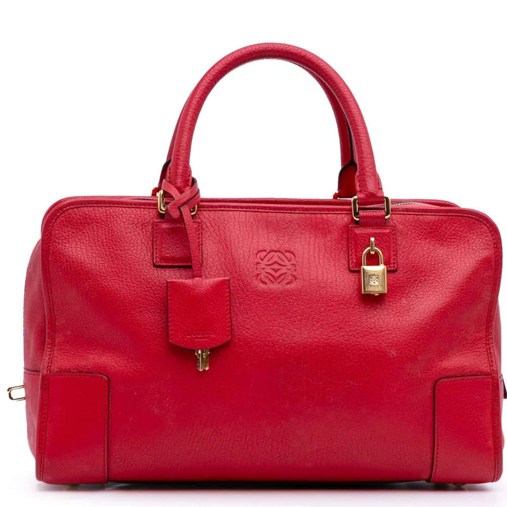 Amazona 28 bag in nappa calfskin twins