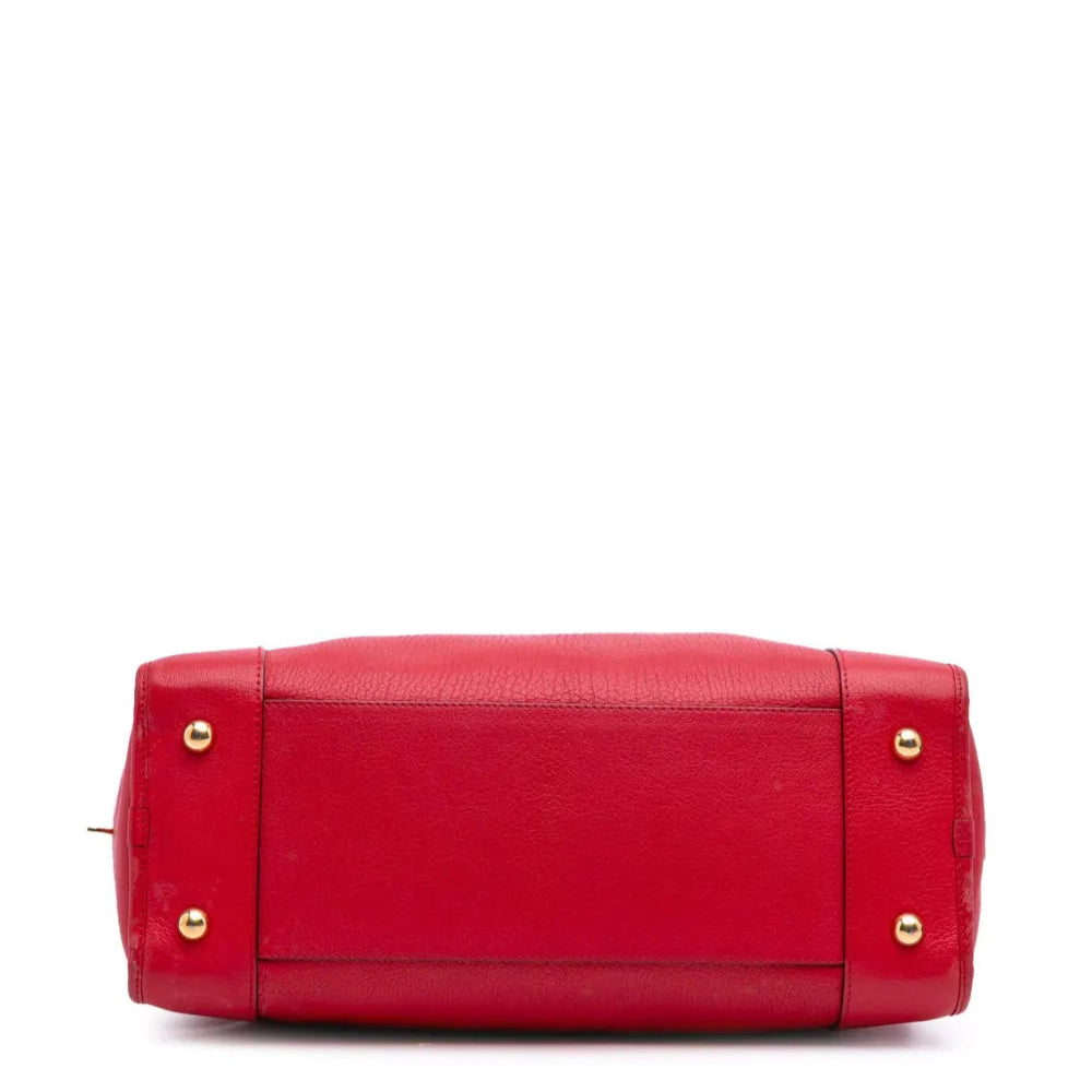 Amazona 28 bag in nappa calfskin twins