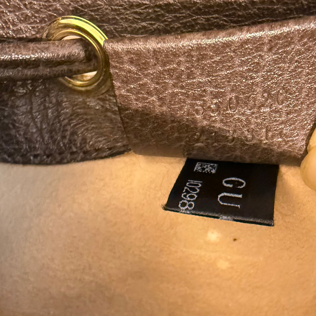 Ophidia Bucket Bag GG Coated Canvas Mini Twins