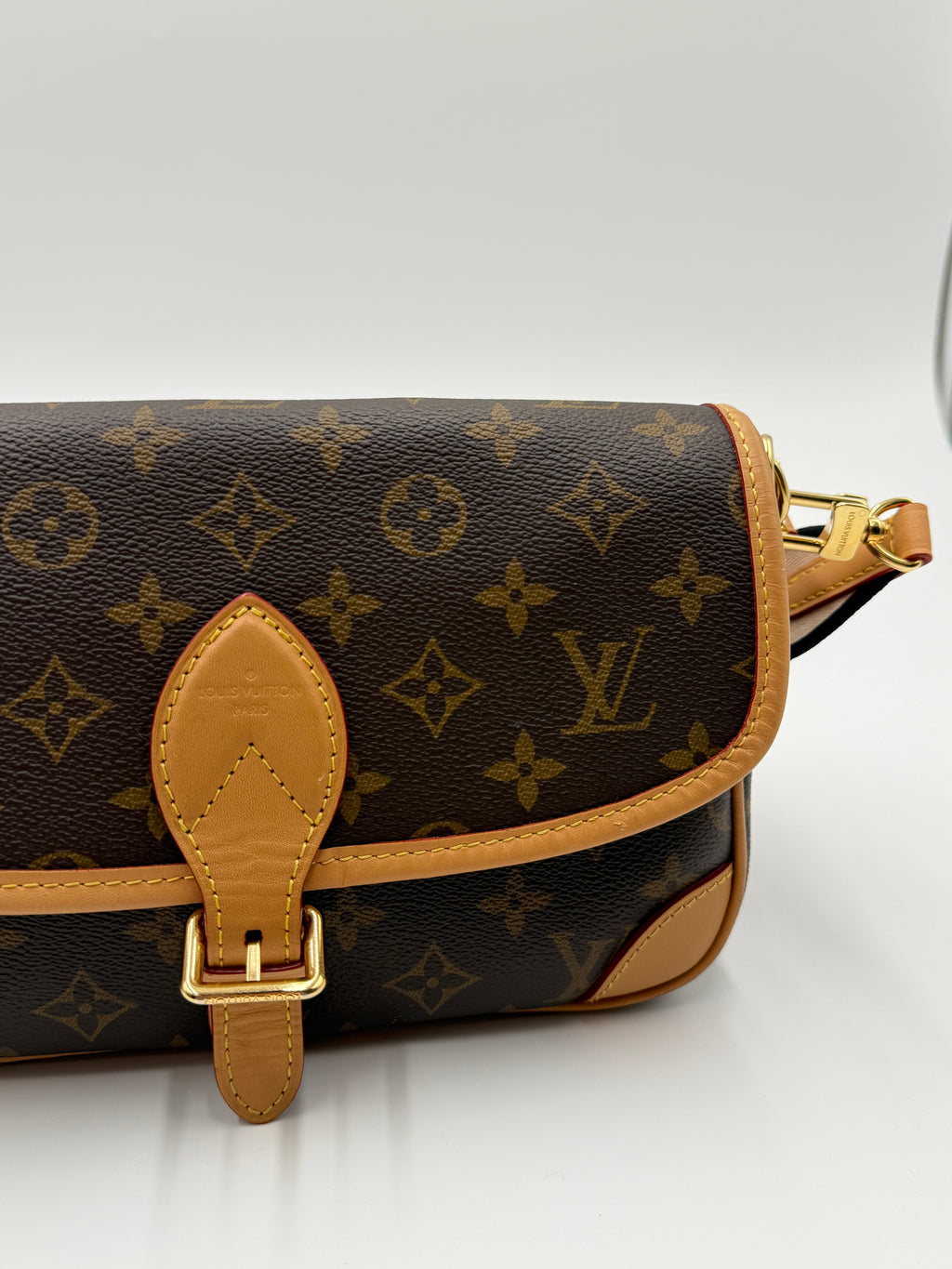 Diane NM Handbag Monogram Canvas