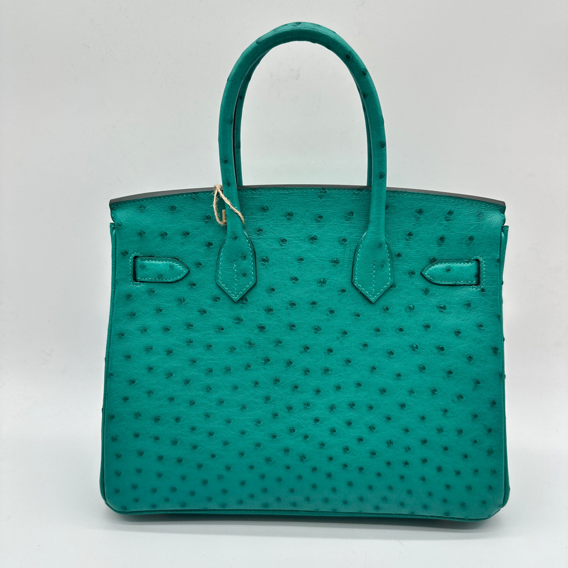 Ostrich Birkin 30