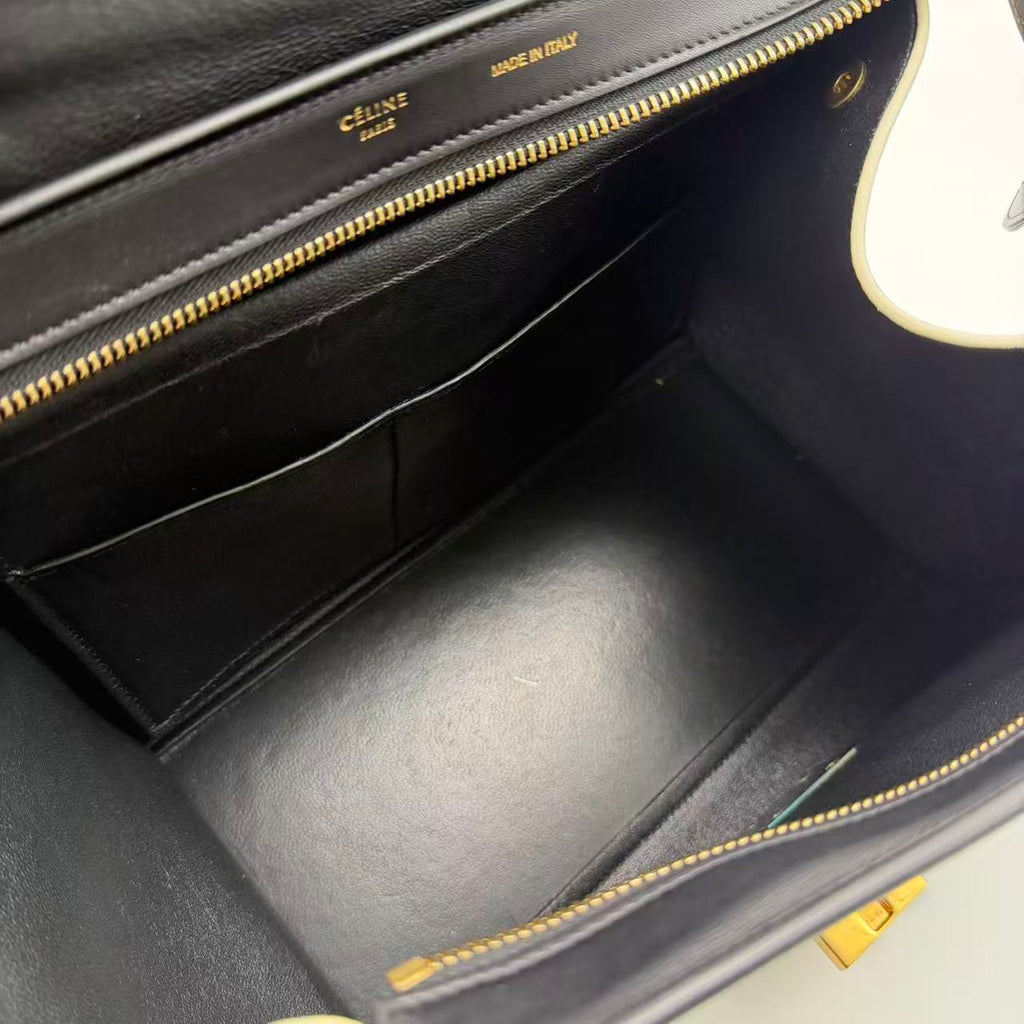 Trapeze Medium Handbag Python Suede Twins