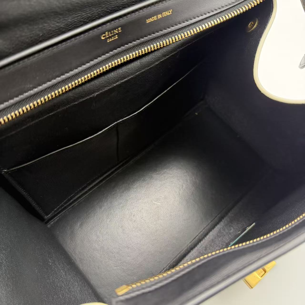 Trapeze Medium Handbag Python Suede Twins