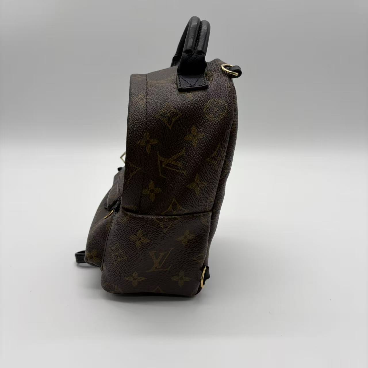 Palm Springs Backpack Monogram Canvas Mini twins