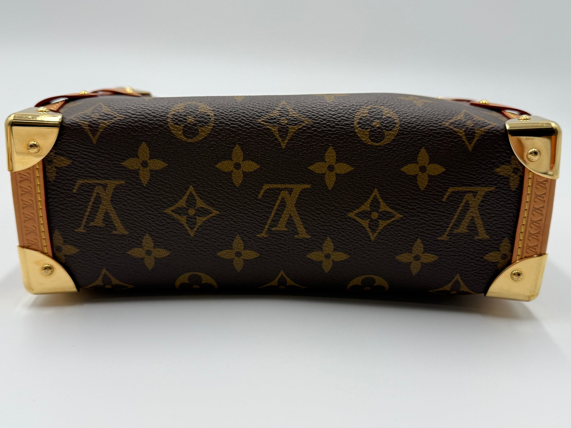 Monogram Side Trunk MM