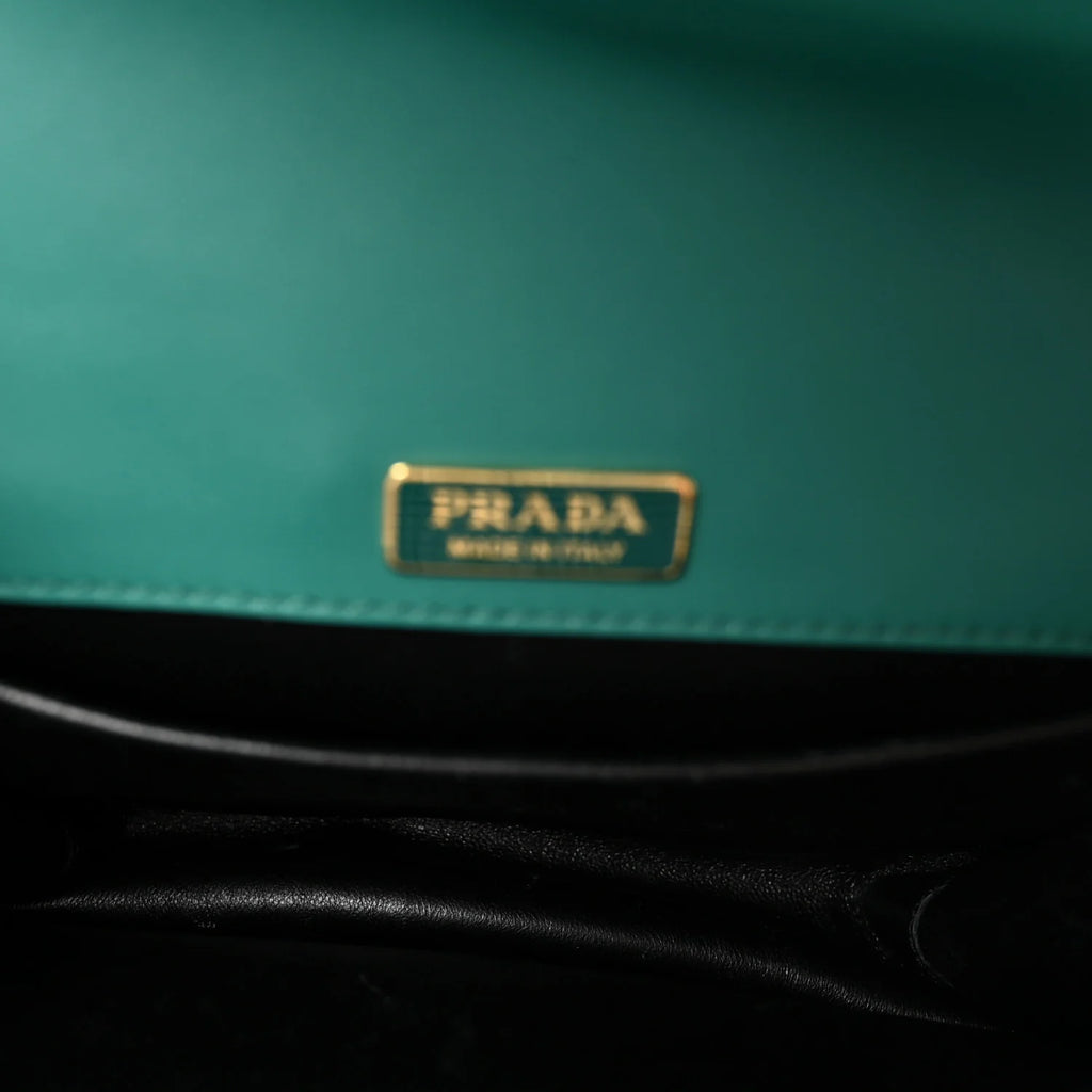 Prada Antic Soft Saffiano Lions Head Cahier Shoulder Bag Assenzio Black twins LDJ4399