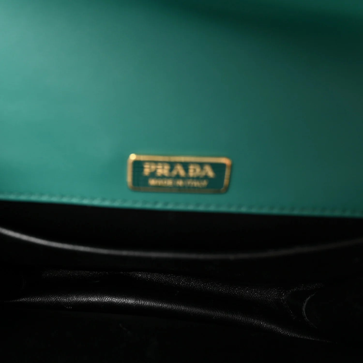 Prada Antic Soft Saffiano Lions Head Cahier Shoulder Bag Assenzio Black twins LDJ4399