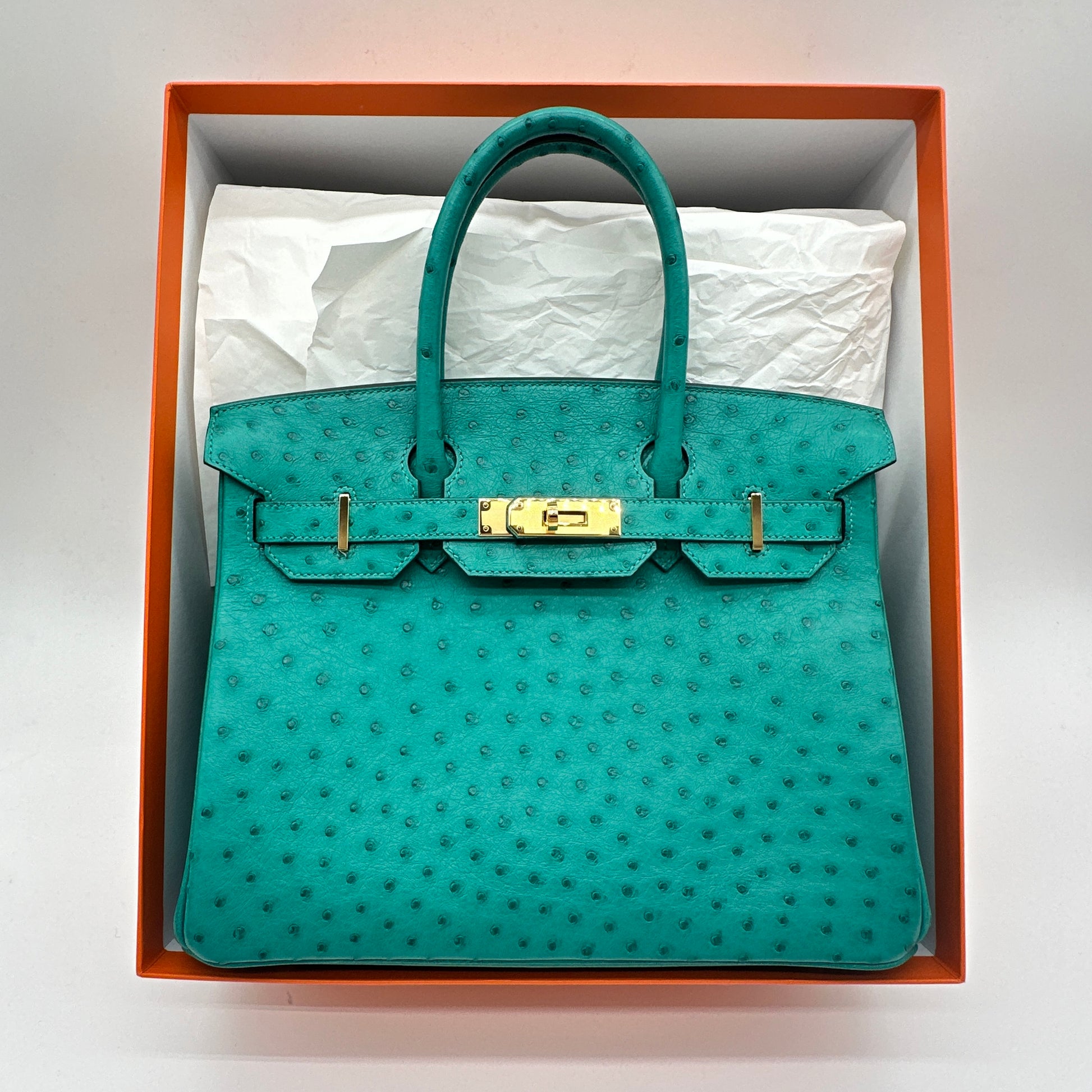 Ostrich Birkin 30