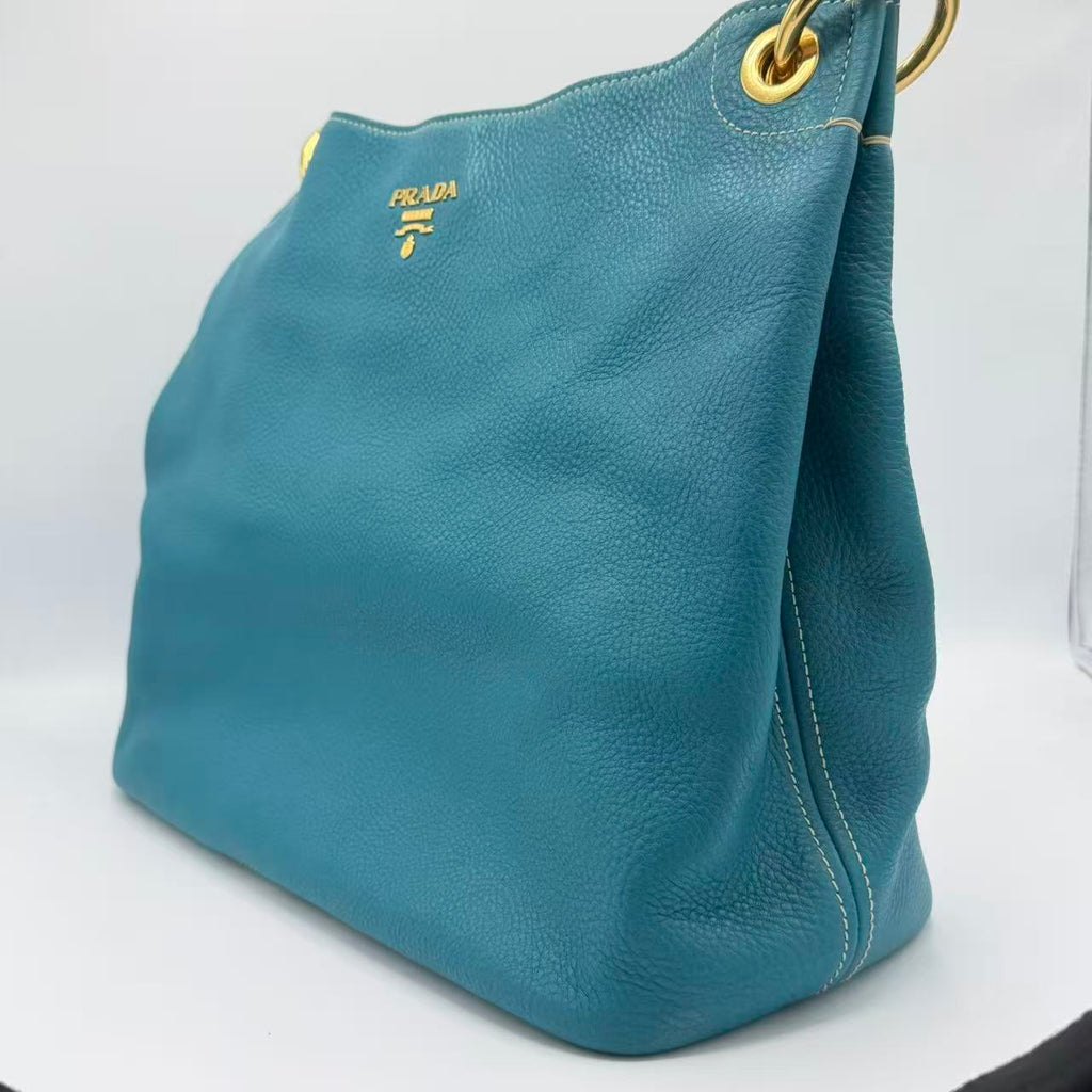 Vitello Daino hobo bag