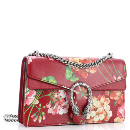 Dionysus Bag Blooms Print Leather Small Twins