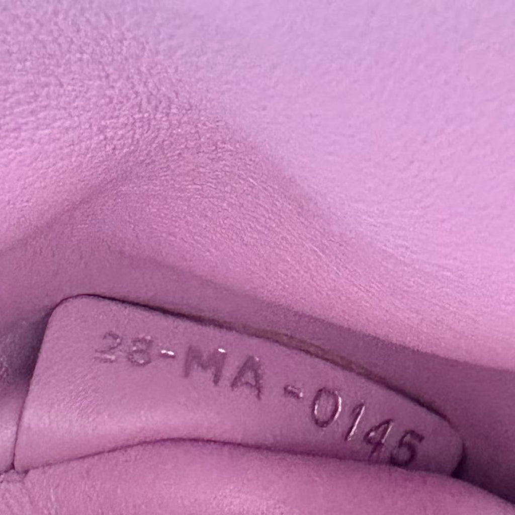 Be Dior Bag Pebbled Leather Small twins