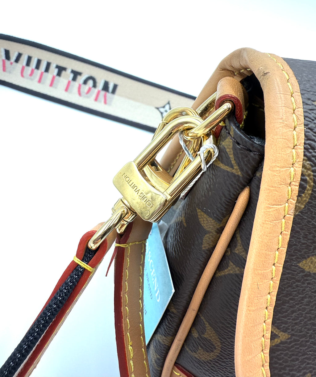 Diane NM Handbag Monogram Canvas