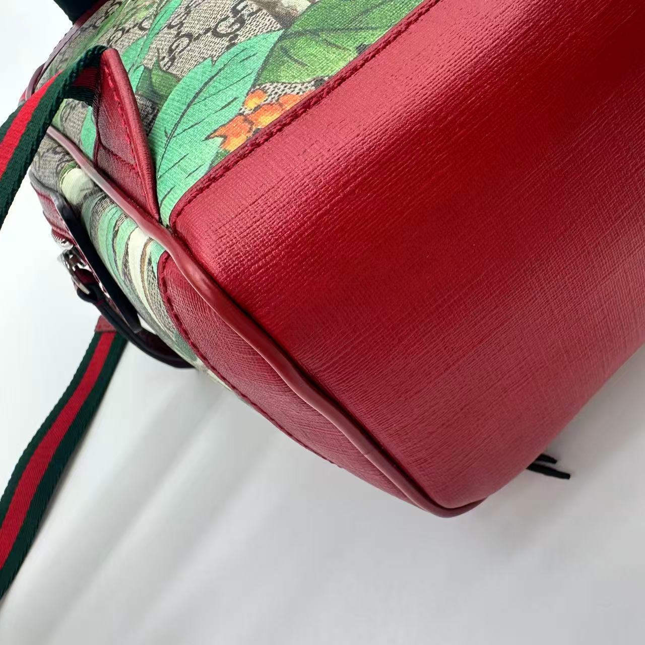 Zip Pocket Backpack Tian Print GG Coated Canvas Small