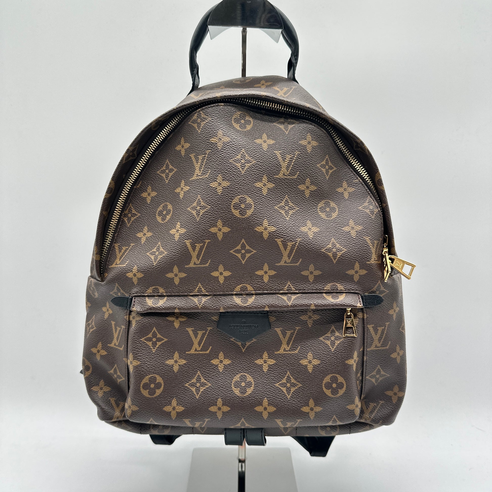 Monogram Canvas Palm Springs MM Backpack Bag