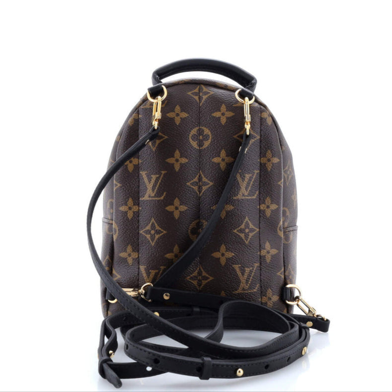 Palm Springs Backpack Monogram Canvas Mini Twins