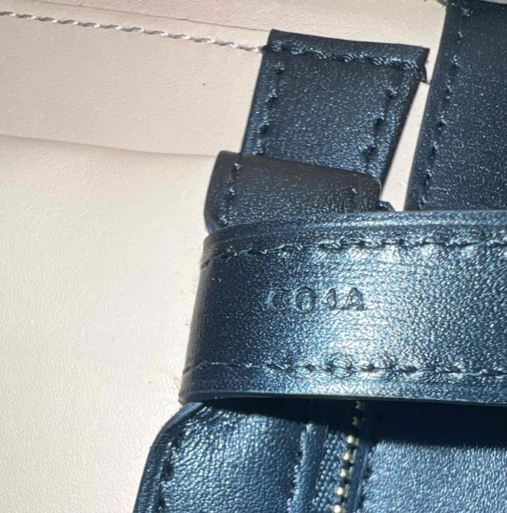Box Calfskin MM Brillant Satchel Black B24350