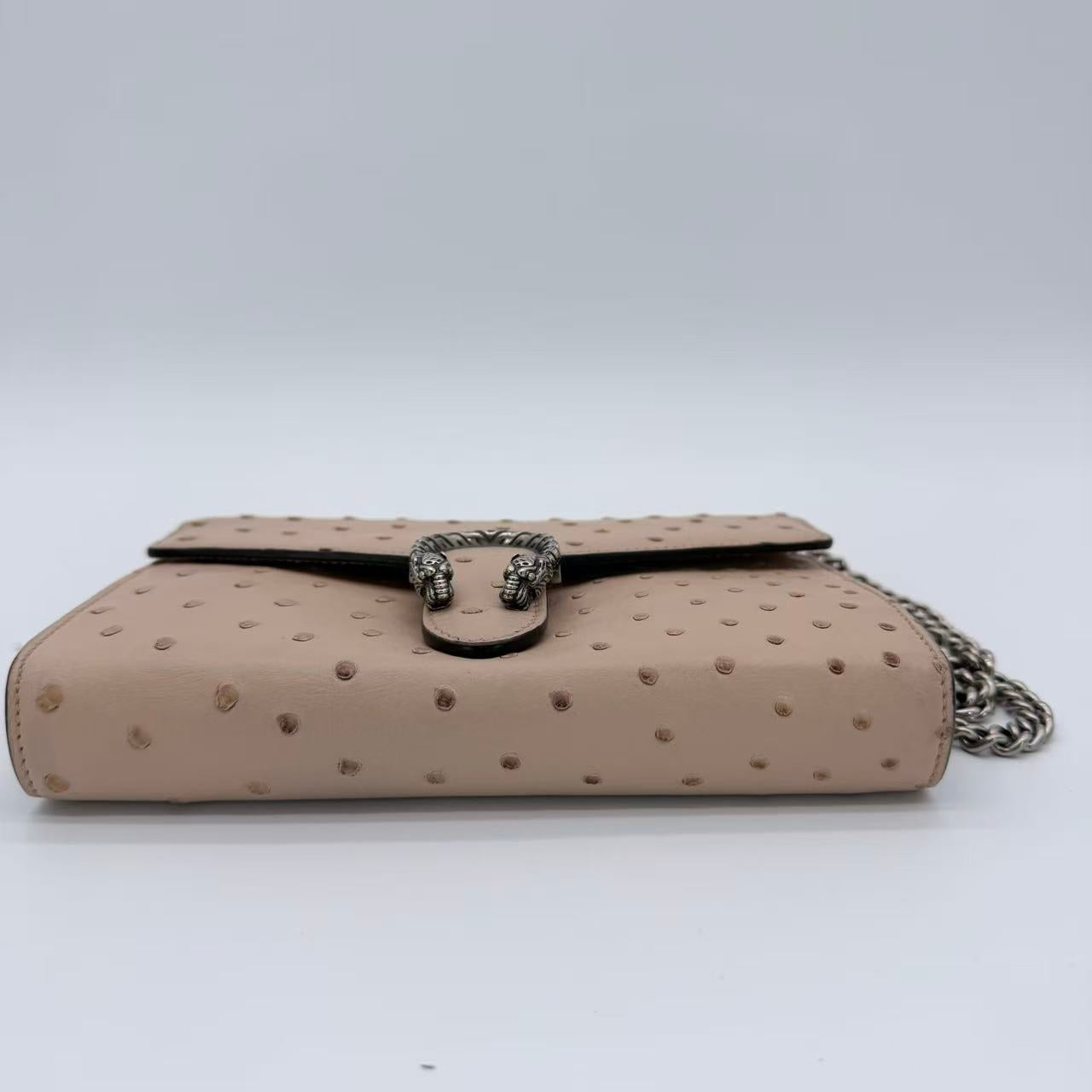 Ostrich Dionysus Wallet On Chain