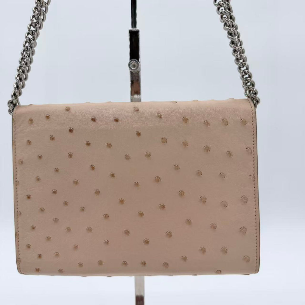 Ostrich Dionysus Wallet On Chain