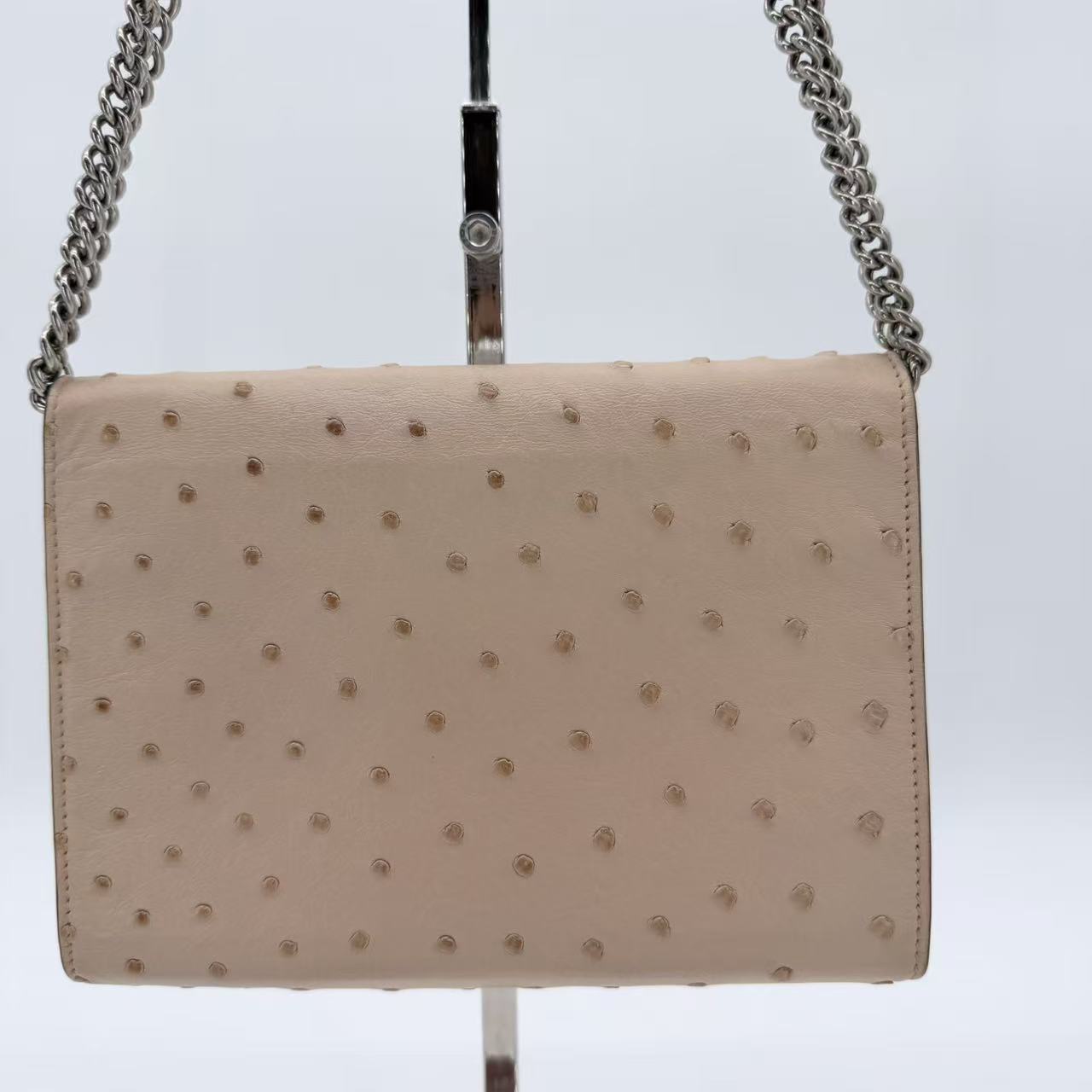 Ostrich Dionysus Wallet On Chain