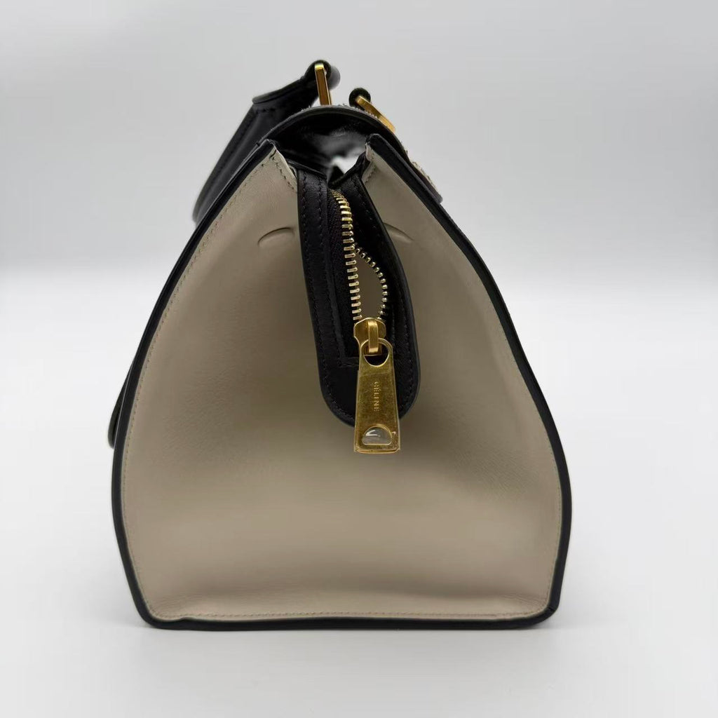 Trapeze Medium Handbag Python Suede Twins