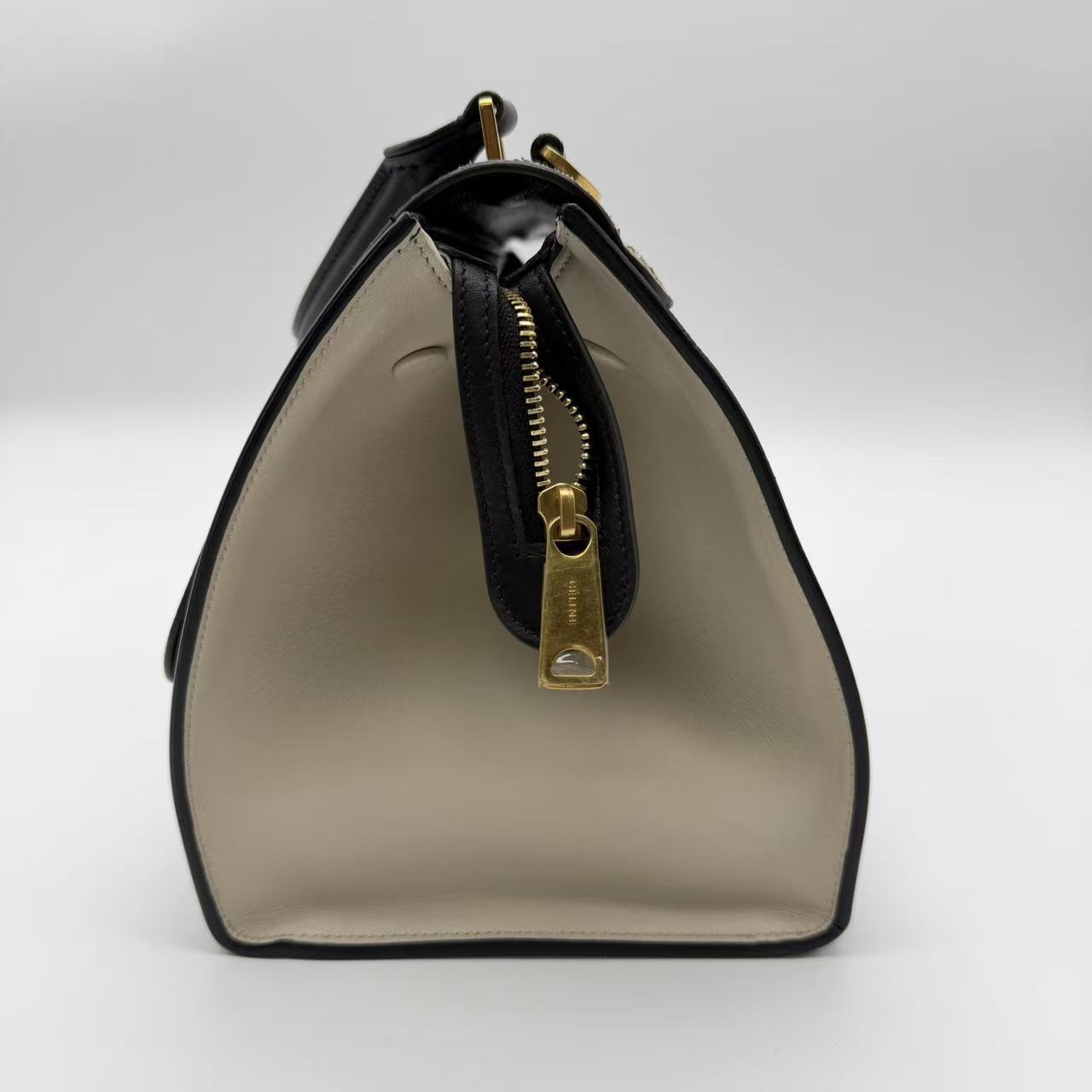 Trapeze Medium Handbag Python Suede Twins