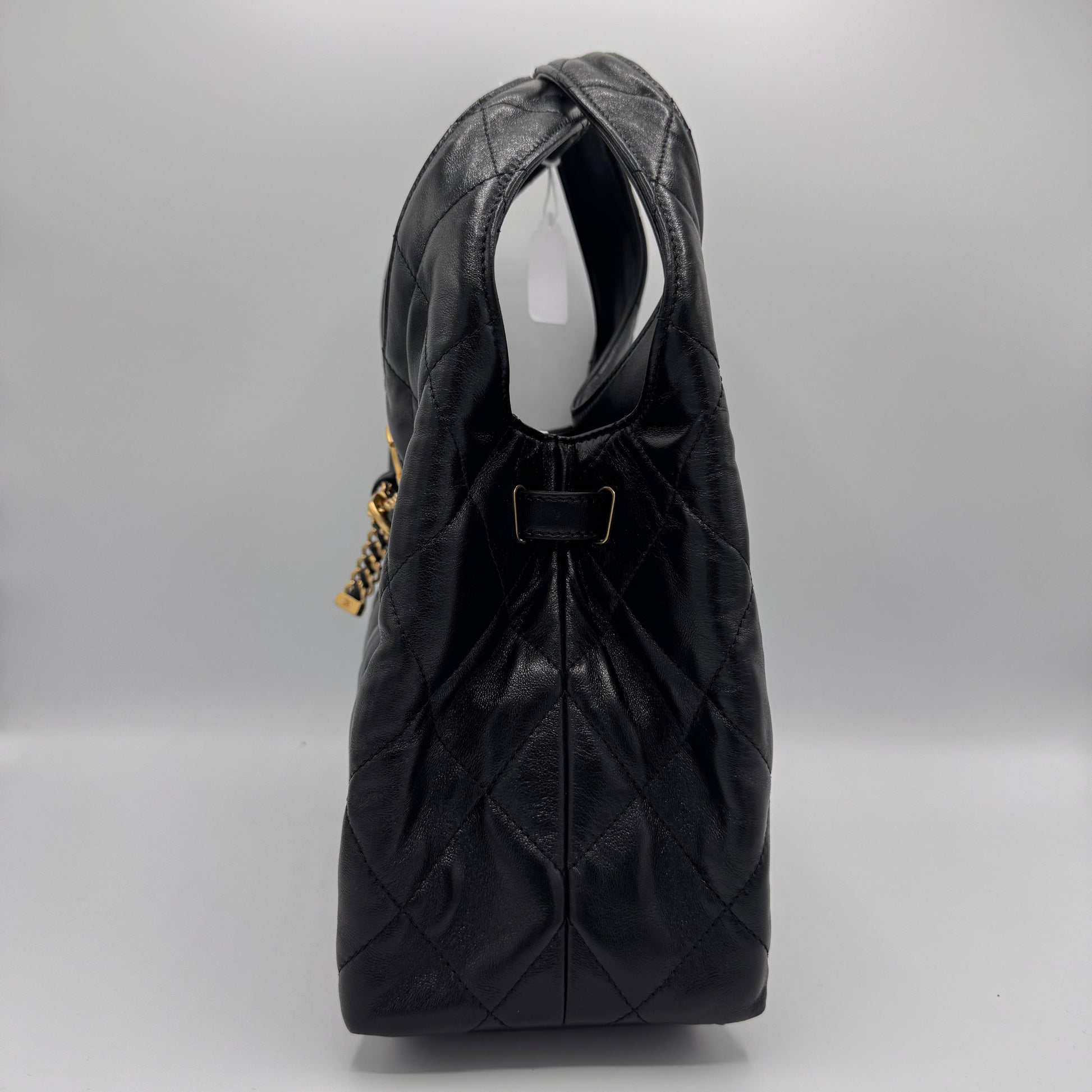25P Hobo Handbag