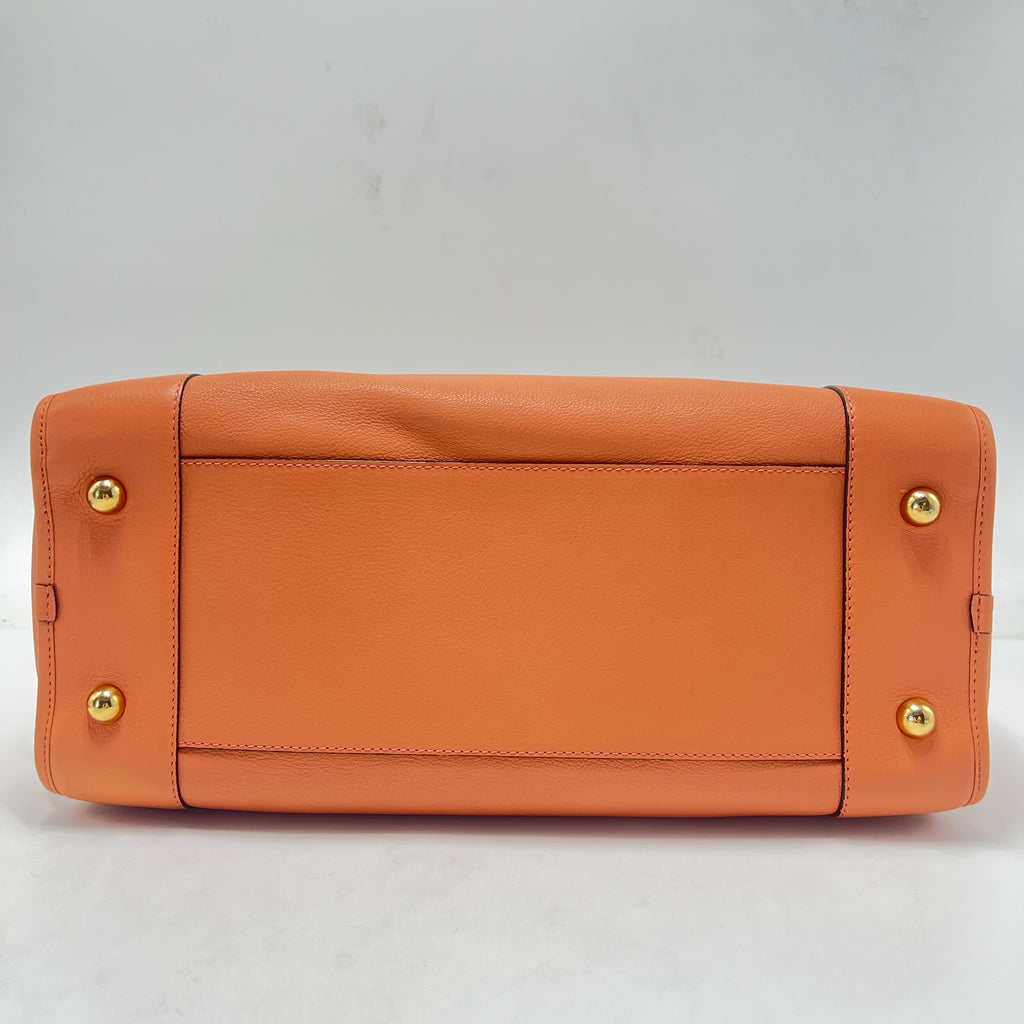 Amazona Bag Calfskin 28 Twins