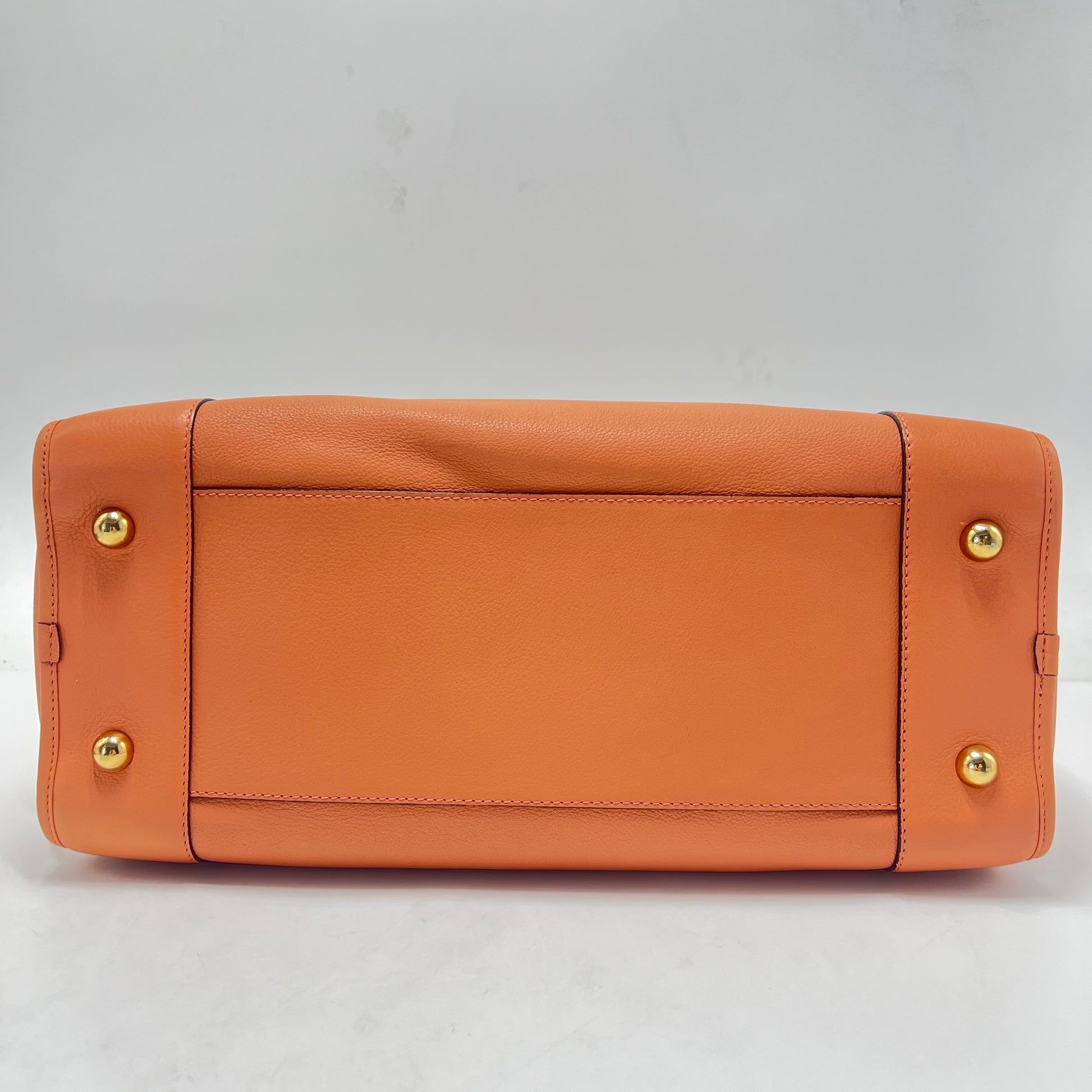 Amazona Bag Calfskin 28 Twins