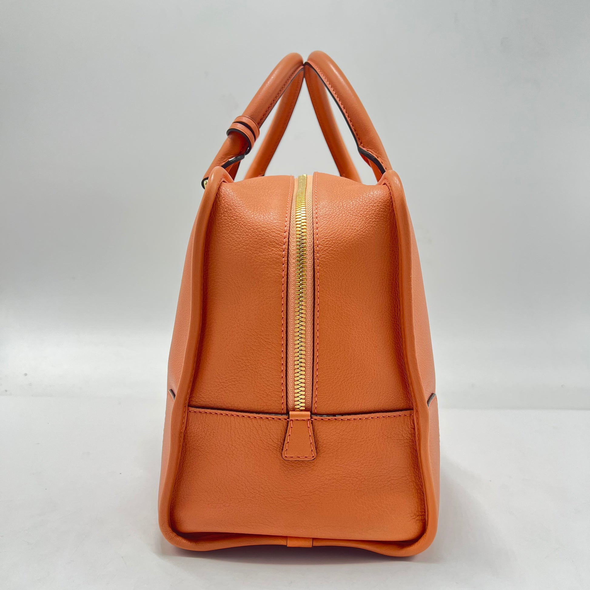Amazona Bag Calfskin 28 Twins