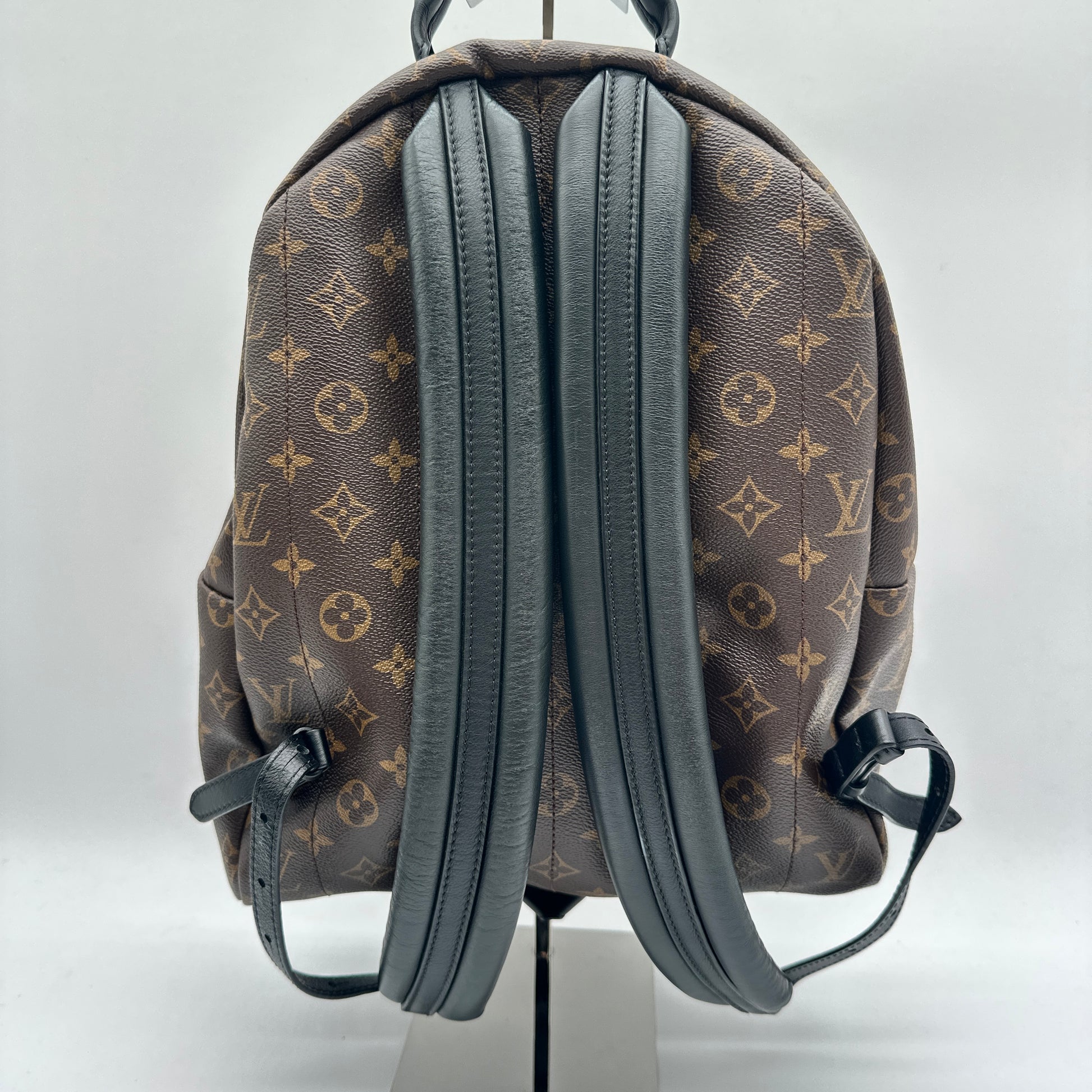 Monogram Canvas Palm Springs MM Backpack Bag