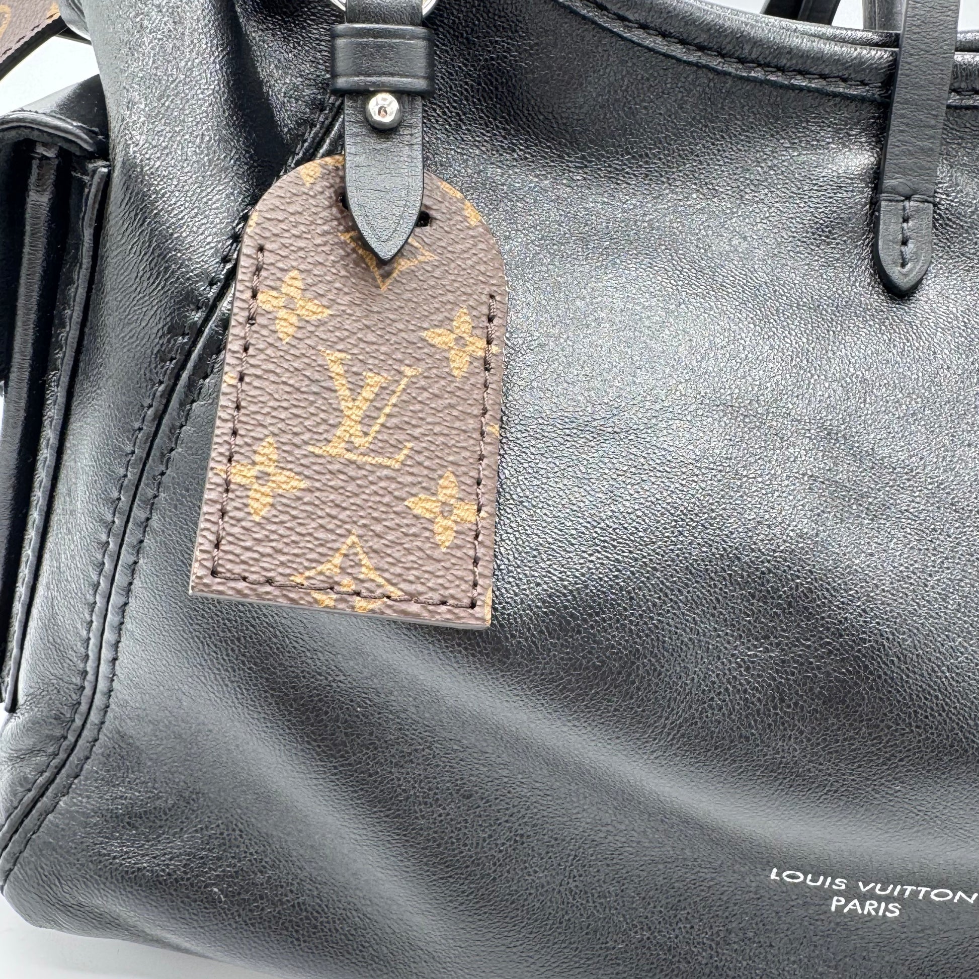 Louis Vuitton LV Monogram CarryAll Vibe PM