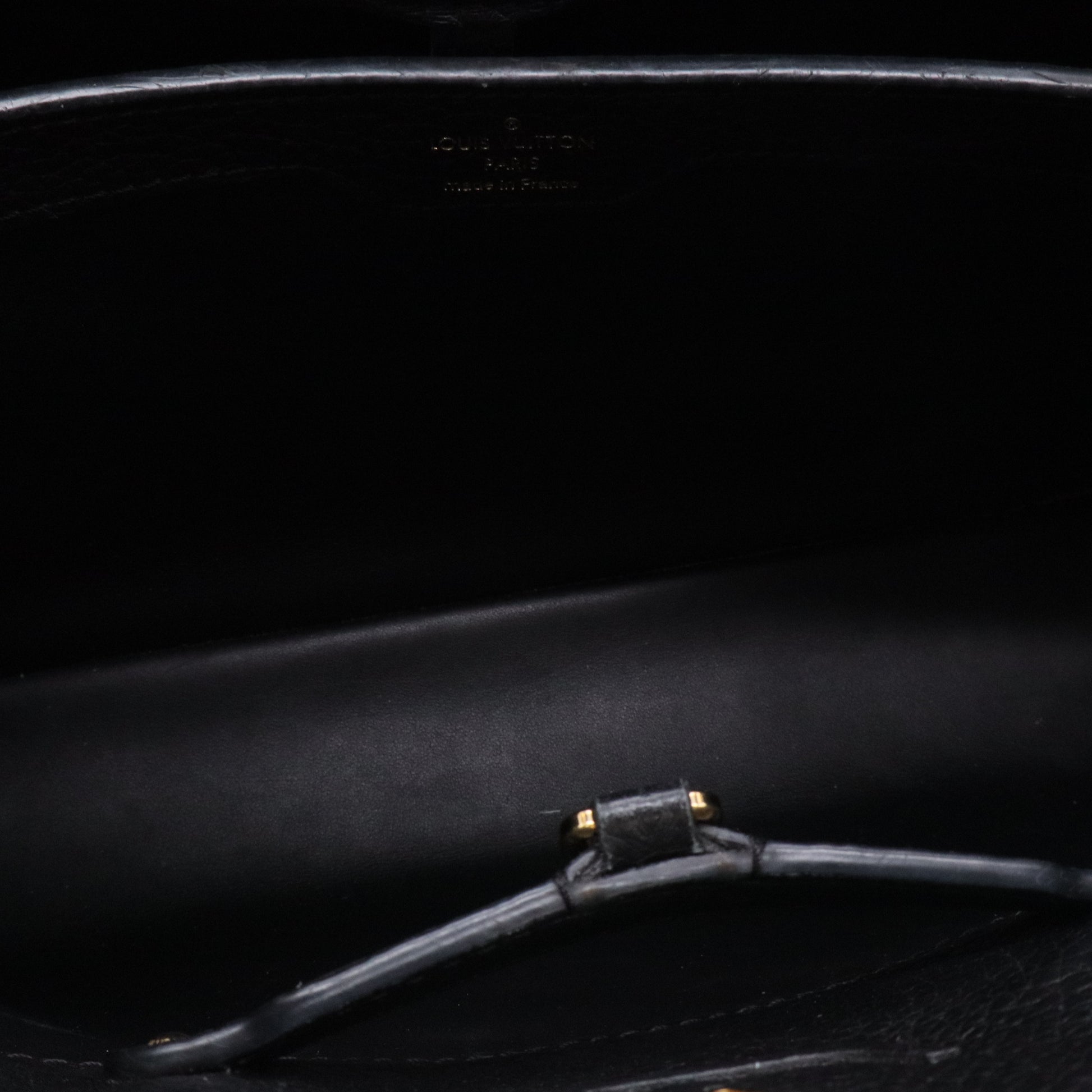 Limited Edition Capucines Bag Leather PM Twins LDJ3493