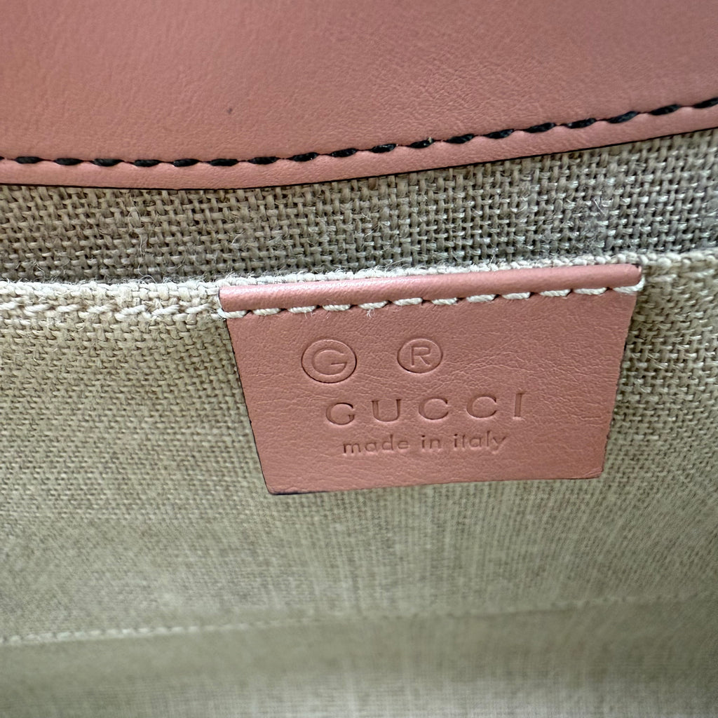Emily Chain Flap Bag Guccissima Leather Medium Twins