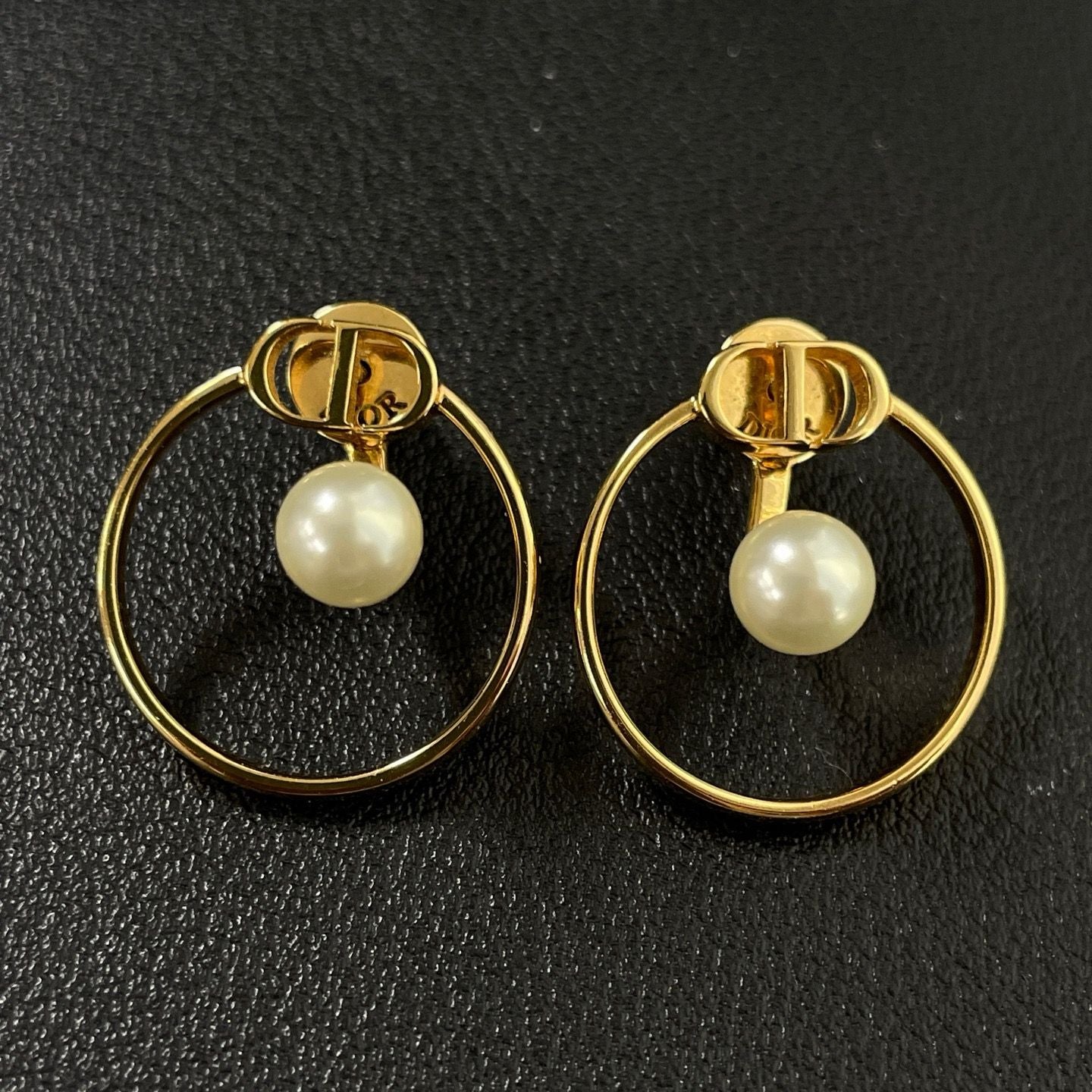 Dior Montaine earrings twins LDZ907
