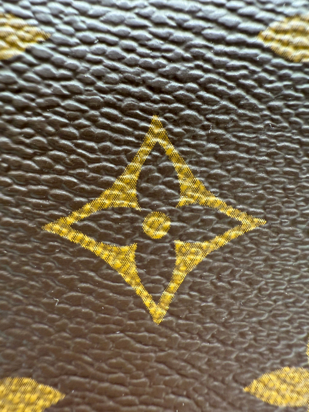Monogram Side Trunk MM