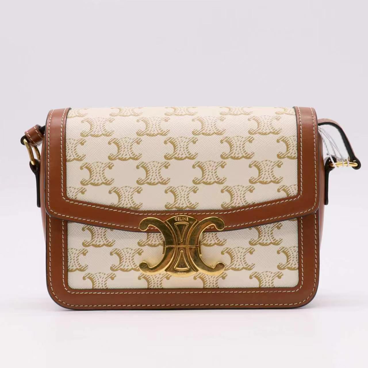 Celine Teen Triomphe Bag in Triomphe Canvas Twins LDZ1046