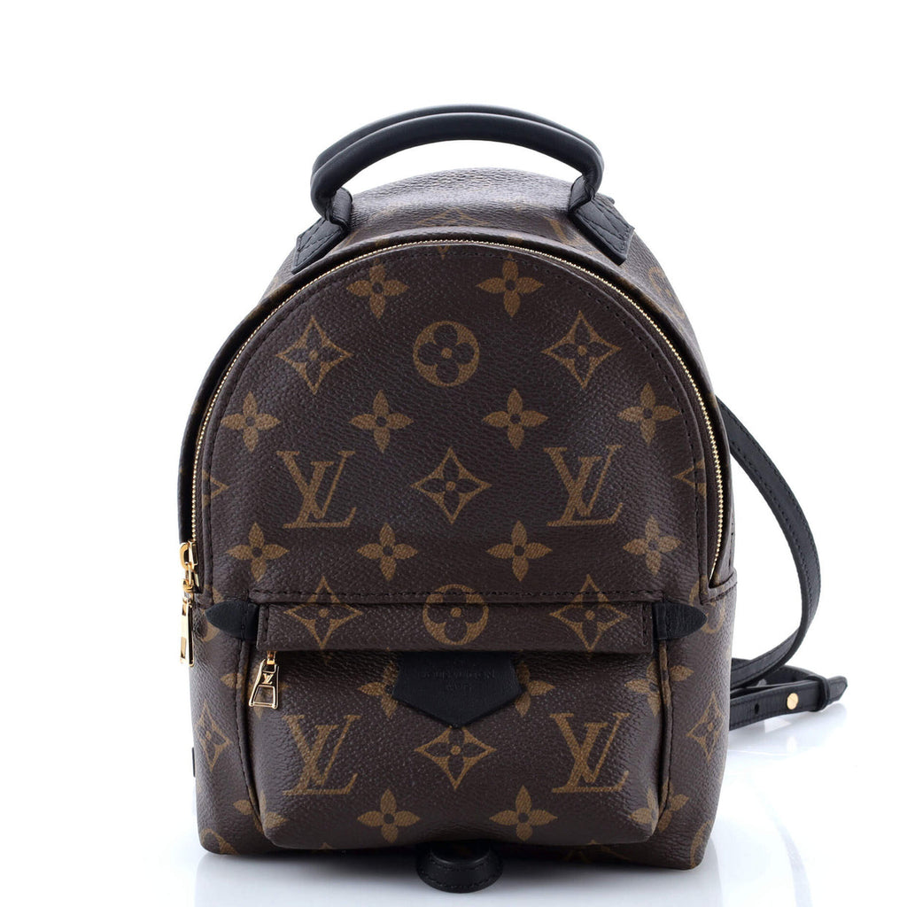 Palm Springs Backpack Monogram Canvas Mini Twins