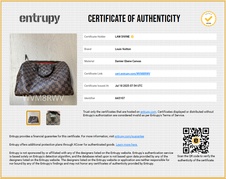 Speedy Handbag Damier 30
