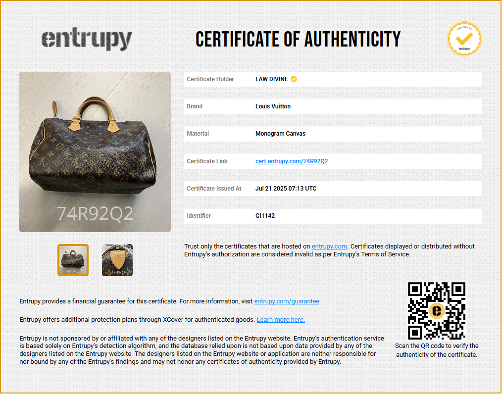 Speedy Handbag Monogram Canvas 30