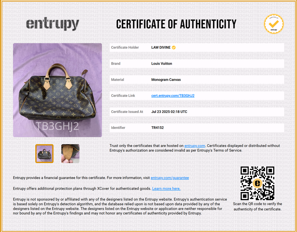 Speedy Handbag Monogram Canvas 30